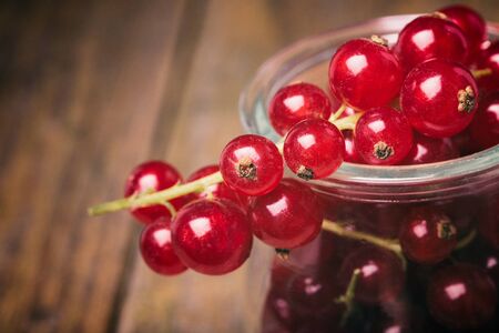 Detail bunch of red currants in a glass cup. Healthy fruit with antioxidant.の写真素材