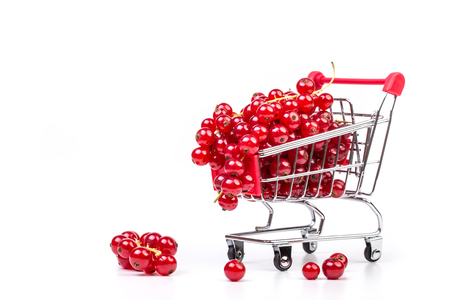 Bunch of red currants in a shopping cart on a white background. Healthy fruit with antioxidant.の写真素材