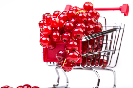 Bunch of red currants in a shopping cart on a white background. Healthy fruit with antioxidant.の写真素材