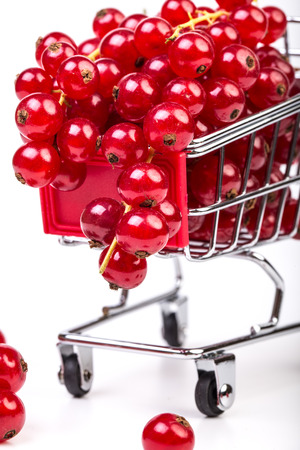 Bunch of red currants in a shopping cart on a white background. Healthy fruit with antioxidant.の写真素材