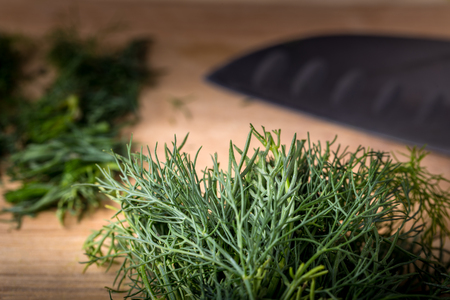 Sliced twig of dill on a wooden board with knife. Branch seasoning aromatic spice.の写真素材