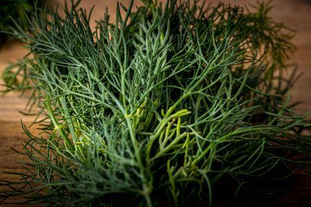 Twig of dill on a wooden board. Branch seasoning aromatic spice.の写真素材