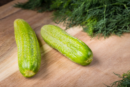 Cucumber on a wooden board with twig of dill. Branch seasoning aromatic spice.の写真素材