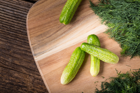 Cucumber on a wooden board with twig of dill. Branch seasoning aromatic spice.の写真素材