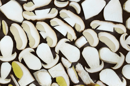 Sliced boletus edulis on the grating. Fresh mushrooms ready for drying.の写真素材