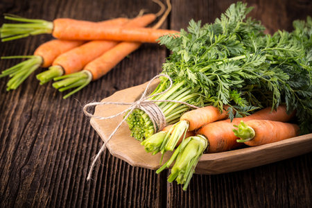 Fresh young bunch of carrots and leaves. Suitable for vegetarians and vegans.の写真素材