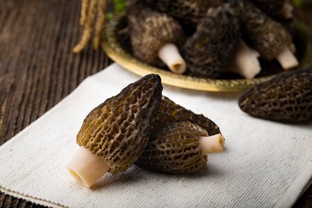 Fresh morchella conica from woods, prepared for cooking. Seasonal mushrooms.の写真素材