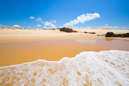 Nice open beach wtih a ocean in the background on the sunny day.の写真素材