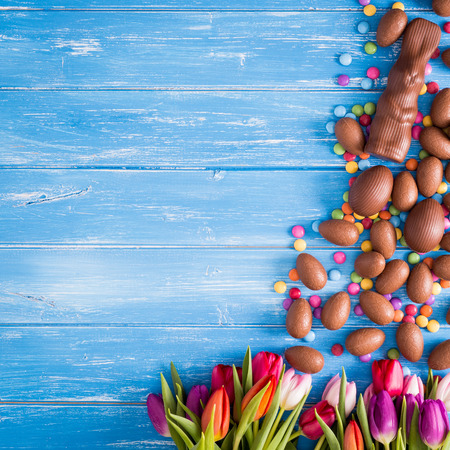 Easter blue background with chocolate rabbit, easter eggs and tulipsの写真素材