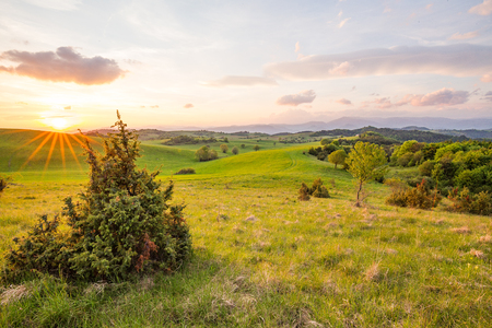 Fresh spring meadow with trees. Green pasture on the central Slovakia.の写真素材