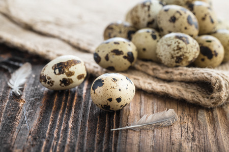 Organic quail eggs and jute bags. Natural gourmet meal.の写真素材