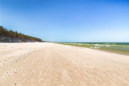 Baltic sea on the Polish coast with the pine treesの写真素材