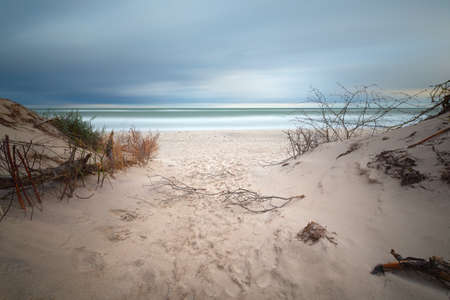Slovenian national park, Leba sand dune on the Baltic coastの写真素材