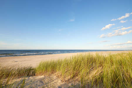 Slovenian national park, Leba sand dune on the Baltic coastの写真素材