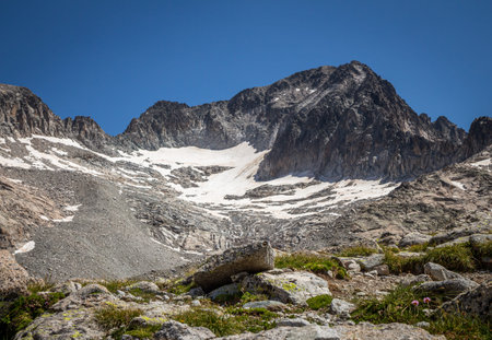 Top of a mountain with snow and a glacier on a meadow with grass and rocks