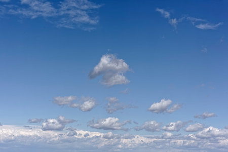 Herd of clouds on the sky