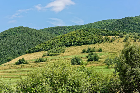 Gardenin on mountain in the middle of the forest near Orlat Sibiu county Romaniaの写真素材