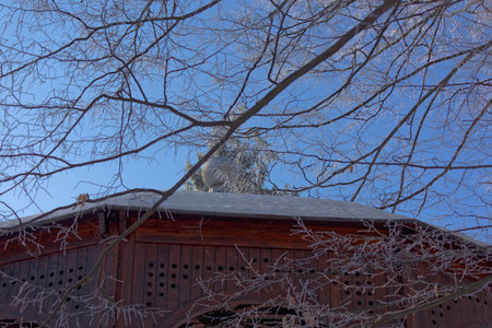 Frozen branches above the band kiosk with blue skyの写真素材