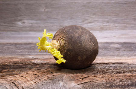 Black radish on wooden backgroundの写真素材