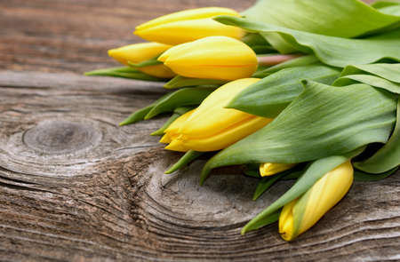 Yellow tulips on wooden backgroundの写真素材