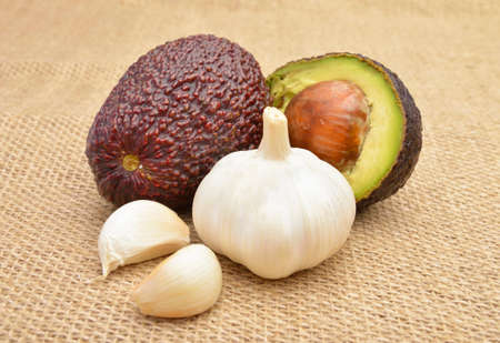 Avocado and garlicの写真素材