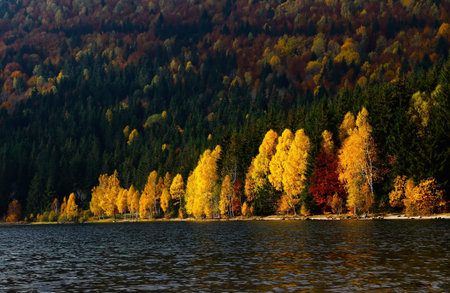 Autumn forest landscape and famous volcanic lake in Transylvania,St Anna Lake,Romania,Europeの写真素材