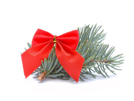 red ribbon and white spruceの写真素材