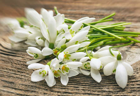 Bouquet of snowdrops on wooden backgroundの写真素材