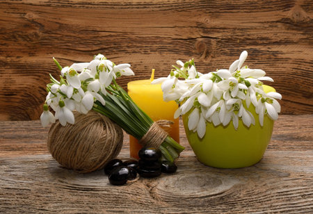 Bouquet of snowdrops on wooden backgroundの写真素材