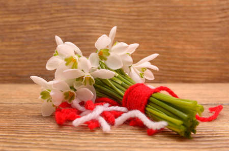 Snowdrops isolated on wooden background の写真素材