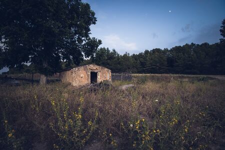 Abandoned house in the field next to a treeの写真素材