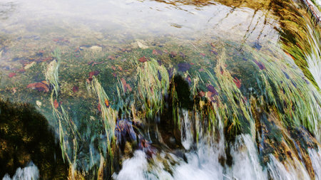 Closeup detail of water flowing over rocks and plants in a streamの写真素材