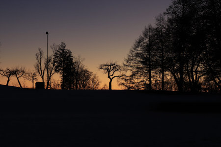 silhouette of forest against orange sunset sky.の写真素材