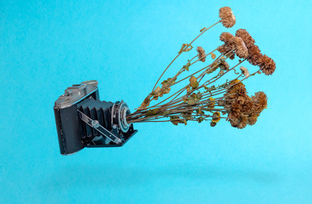 Bunch of spring flowers sticking out of camera to symbolize springtime or summer. Minimal nature concept.の写真素材