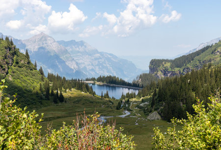 Typical swiss mountain landscape for hiking with lake garichtisee and lush forest and grass surroundingの写真素材