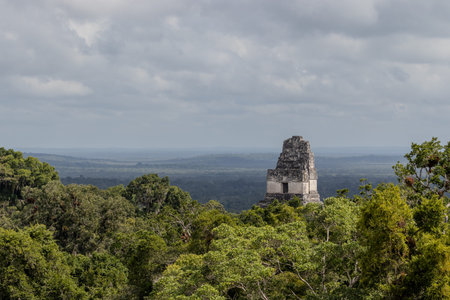 Temple I or gran jaguar at Tikal National Park, ancient mayan ruins in Guatemala on sunny day.の写真素材