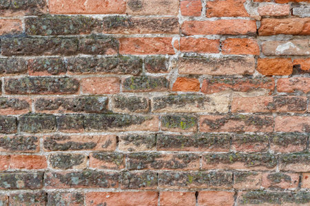 Weathered Orange brick wall with grey grout.