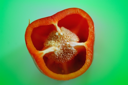 One sectioned red pepper  paprika  from above with inside pulp and seeds on colored green to cyan backgroundの写真素材