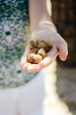 Bio almond nuts in the womanの写真素材
