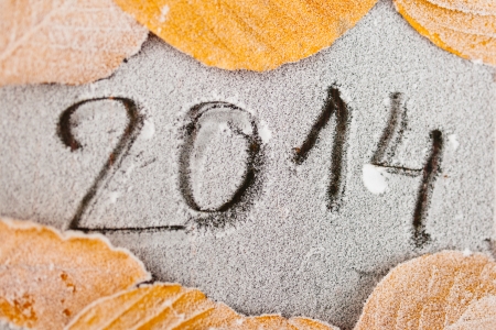 Text 2014 written on a frozen soil surface surrounded by frozen leafs on a cold morning.の写真素材