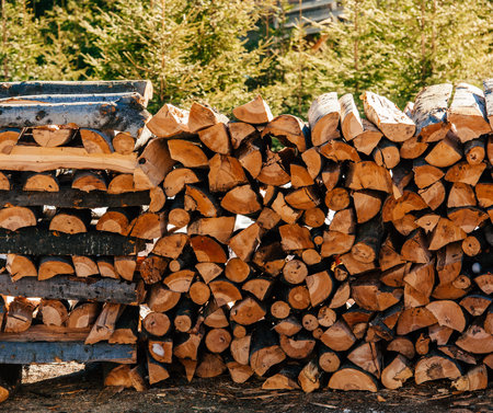 Stack of firewood for winter and autumn