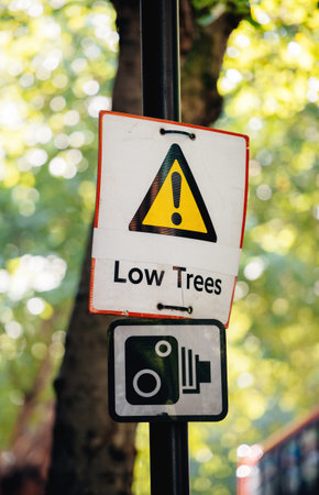 Low tree street sign on a green city street