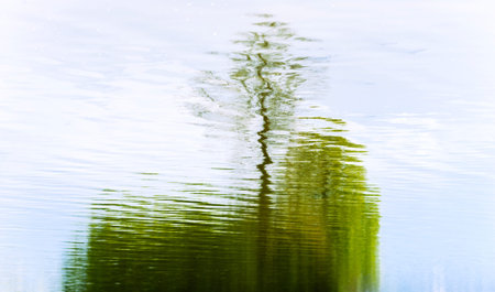 Abstract reflection in lake of a green treeの写真素材