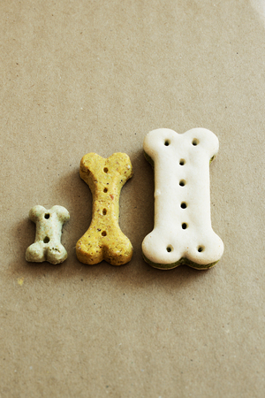 Three dog dry food biscuits next to each otherの写真素材