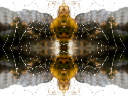 Abstract spider web with dew drops - extreme closeupの写真素材