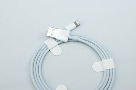 PARIS, FRANCE - NOV 10, 2015:  Apple Computers  lighting cable on white with USB on the other sideのeditorial素材