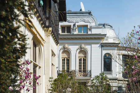 Old luxury building in central Bucharest, Romania with beautiful pink magnolia in bloomのeditorial素材