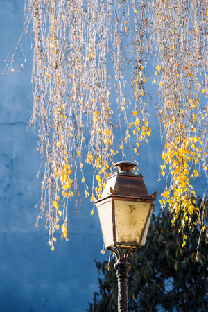 Old vintage street lamp lantern with yellow leaf tree in the background and beautiful blue wallの写真素材