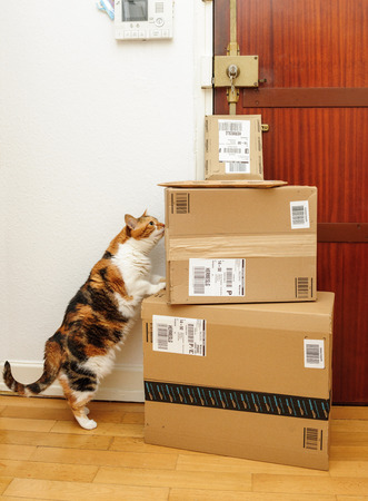 PARIS, FRANCE - SEP 4, 2016: Cat inspecting multiple Amazon Prime boxes delivered by courier and left by the door by Hermes delivery courierのeditorial素材