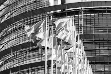 STRASBOURG, FRANCE - JAN 28, 2014:  All European Union flags in a row waving in front of the European Parliament building in Strasbourg, Alsace France brexitのeditorial素材